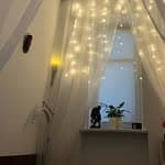 Close-up of dreadlocks with pink highlights